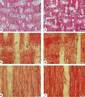 20170926101535785.jpg 20170926101535785.jpg